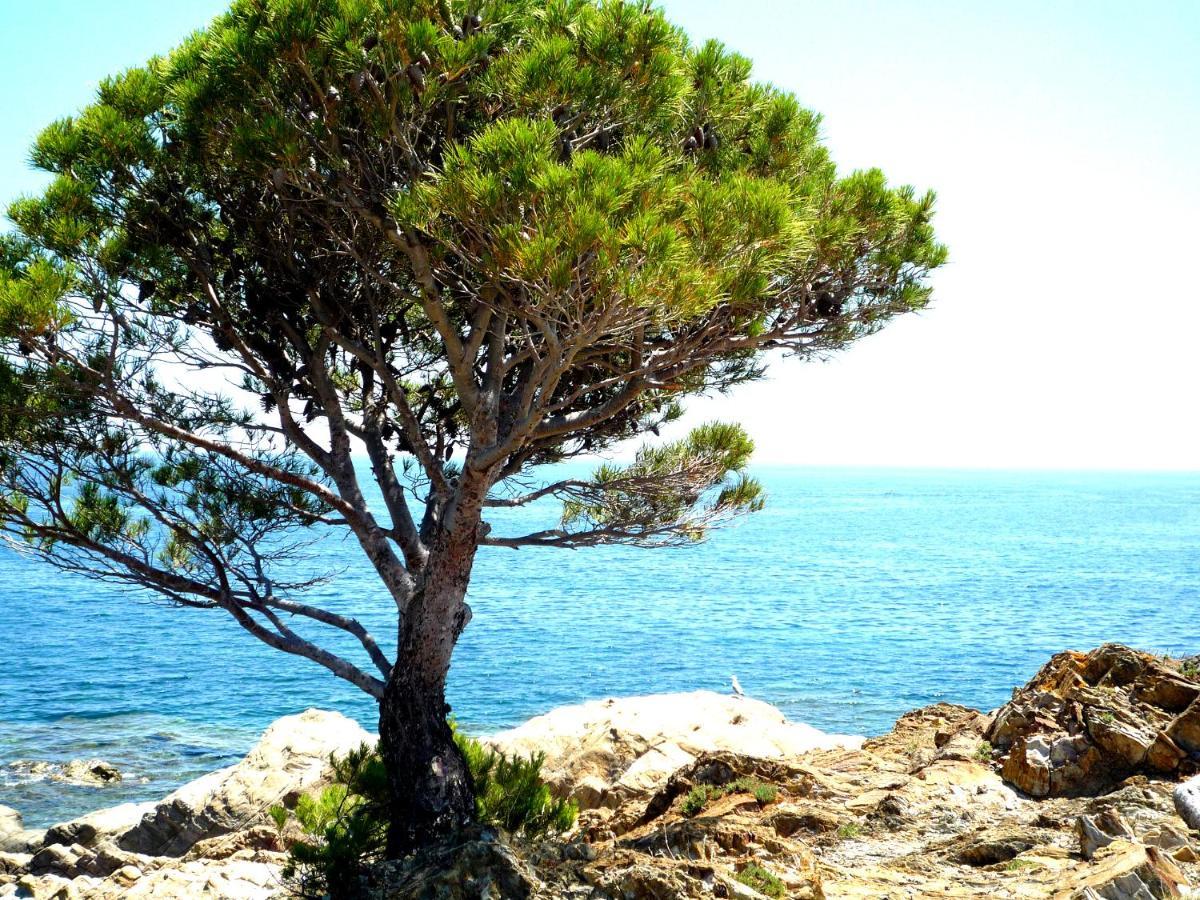 Caseta De Pescadors A Les Cales De Colera, 2ª Linea De Mar 외부 사진